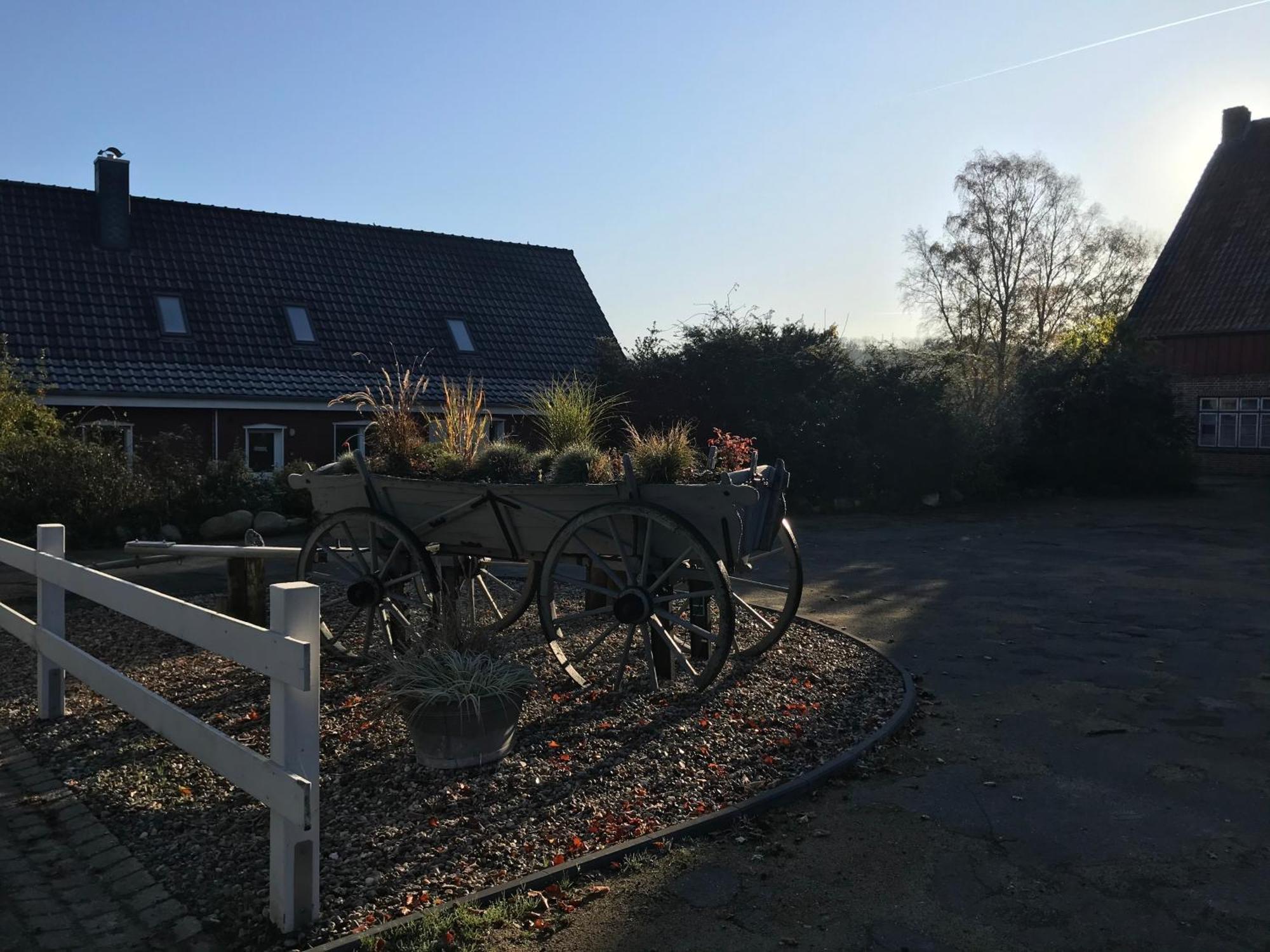 Moderne Ferienwohnung Auf Gut Bennewohld Wl Heide  Exterior photo